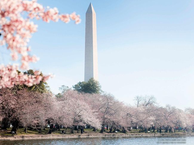 Garden globetrotting: Washington, DC | BBC Gardeners’ World Magazine Jan-26