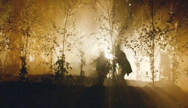 In the Forest of the Night | Doctor Who Magazine The Doctor Who ...