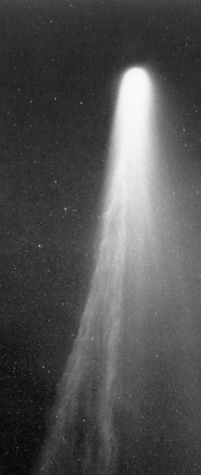 HALLEY’S COMET HAS BEGUN ITS 38-YEAR JOURNEY BACK TOWARDS EARTH | All ...