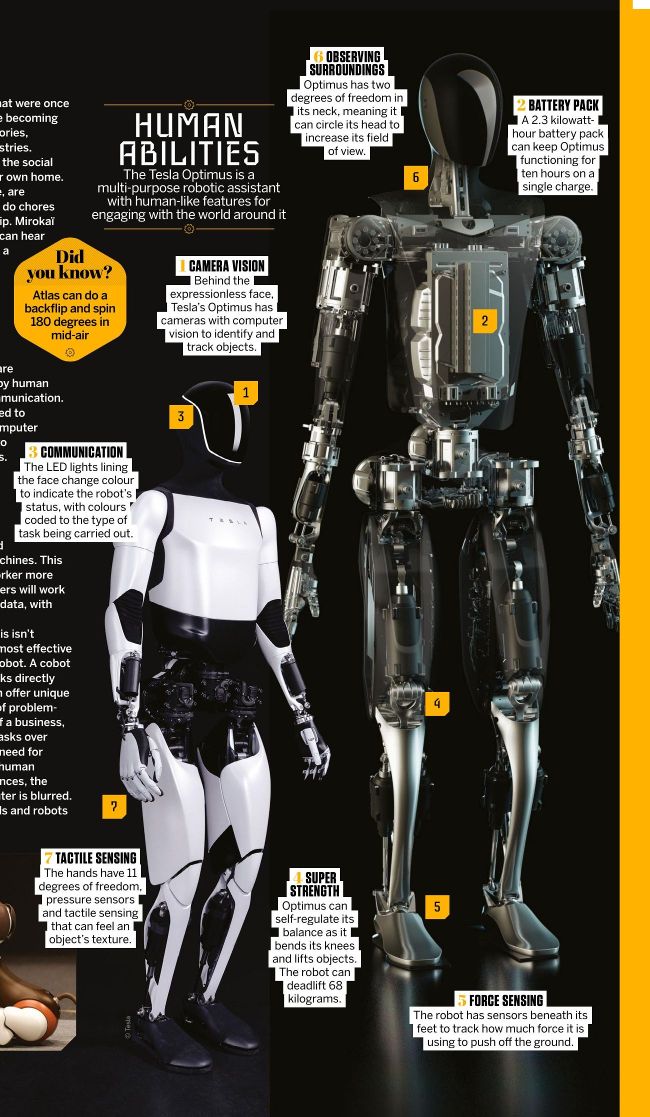OUR ROBOT FUTURE | How It Works Issue 209