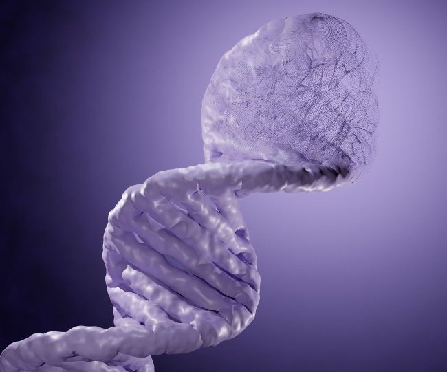 POLYNUCLEOTIDE POTENTIAL