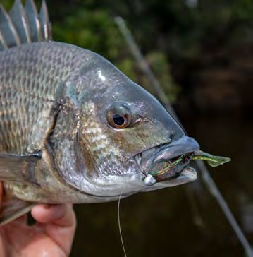 6'9 baitcast rod Team Lew's Signature Series Casting Rod · 6'9