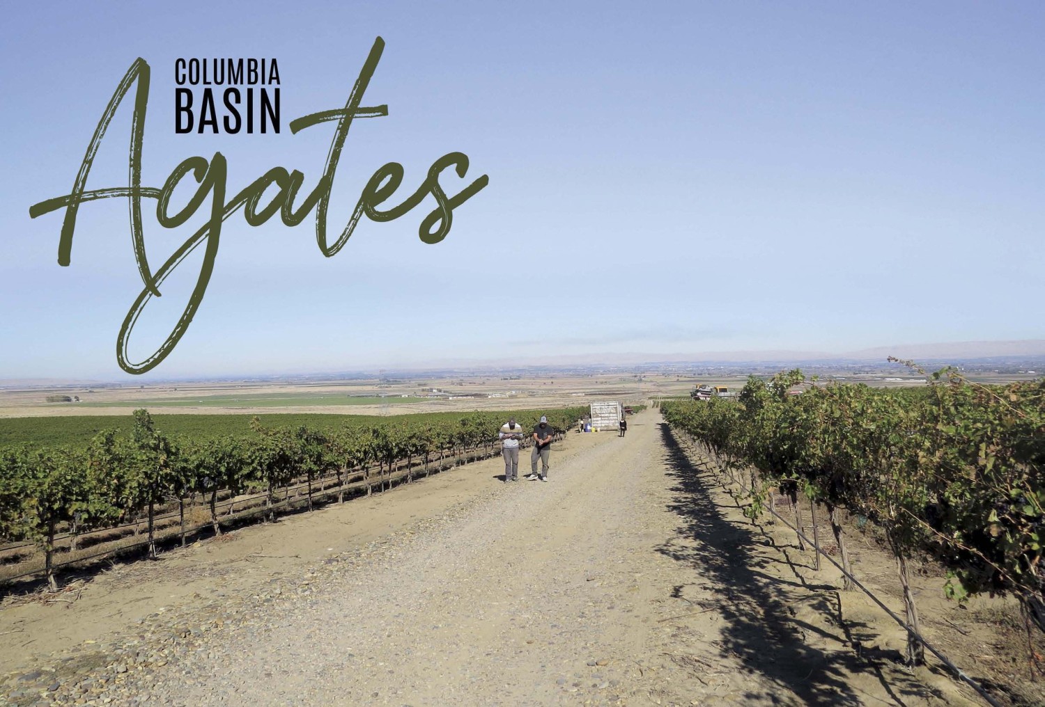 COLUMBIA BASIN AGATES | Pocketmags.com