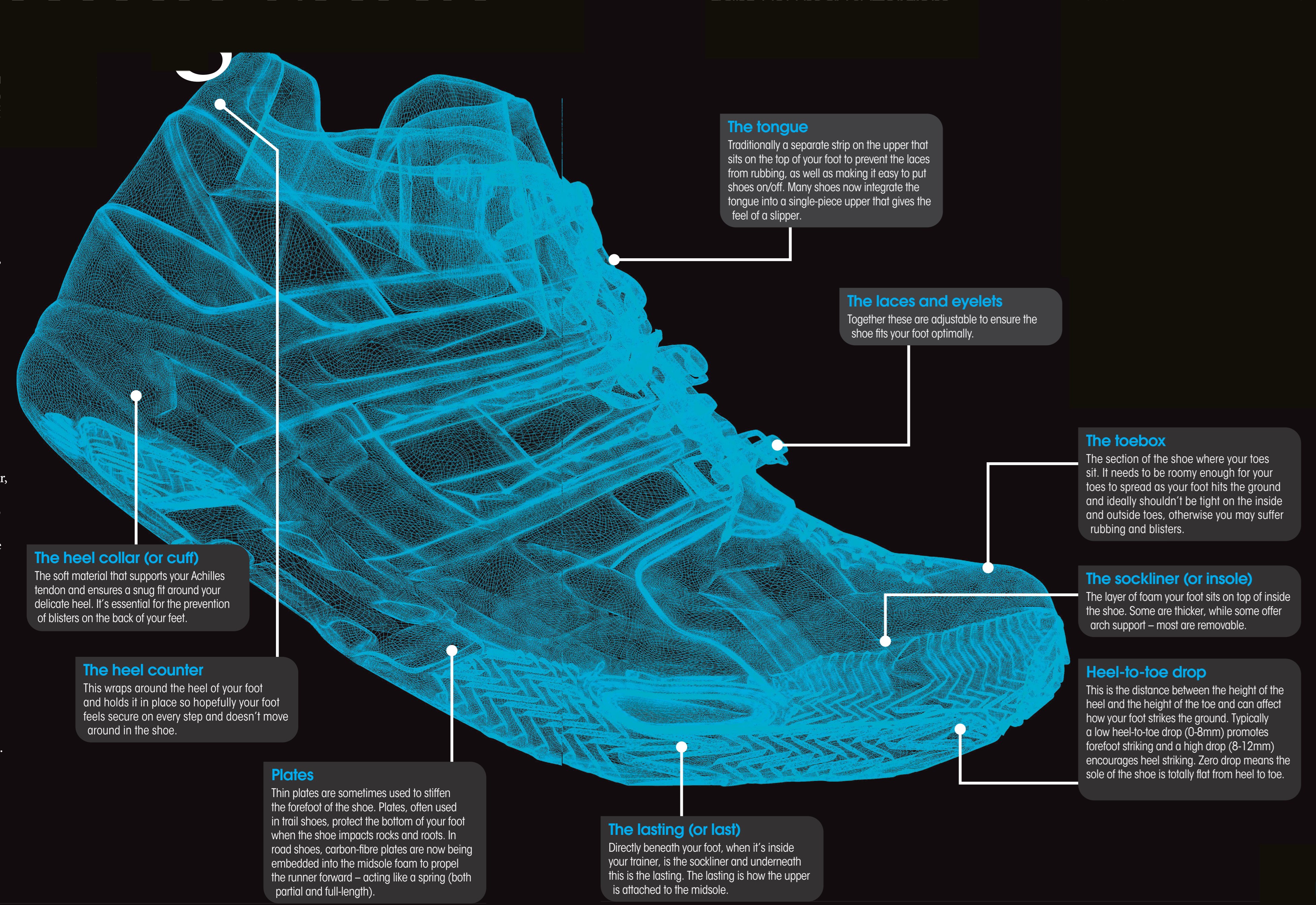 Anatomy Of A Running Shoe Pocketmags