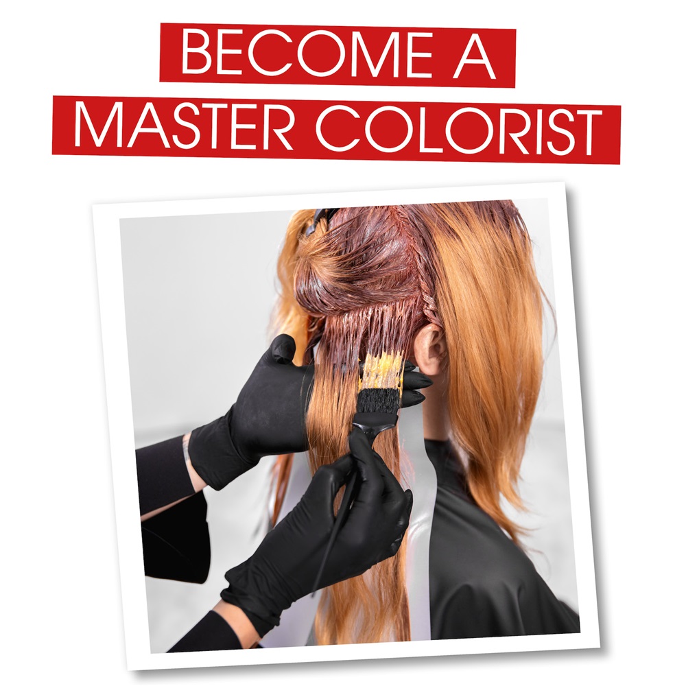 how to become a master hair colorist