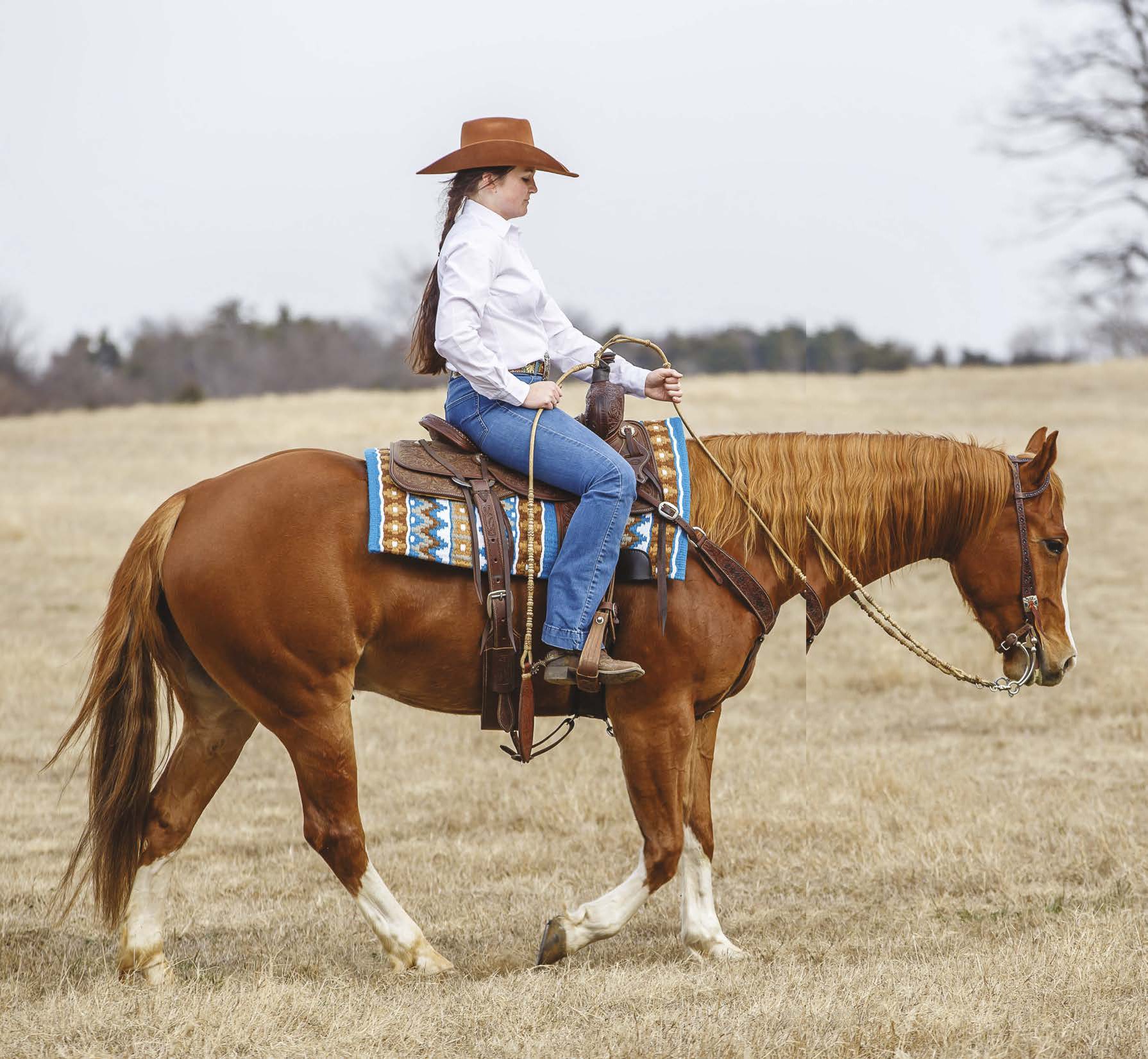 Take the REINS | Pocketmags.com