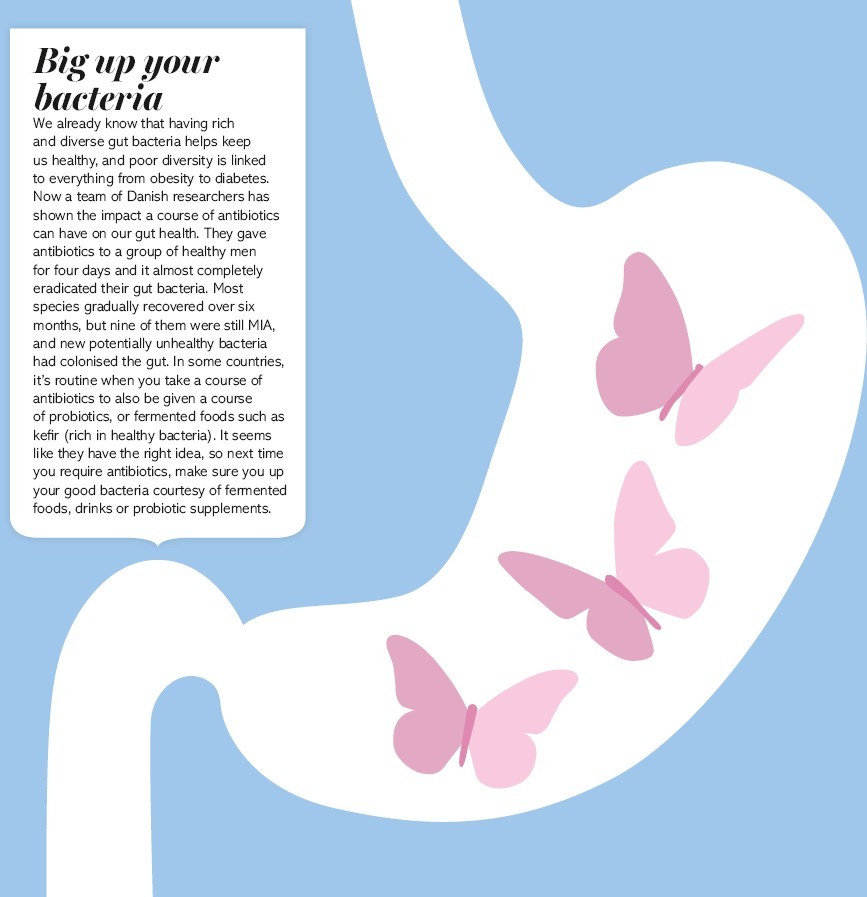Gut Bacteria Might Guide Workings Of >> Guide To Your Gut Pocketmags Com Gut Bacteria Might Guide Workings Of >> Guide To Your Gut Pocketmags Com